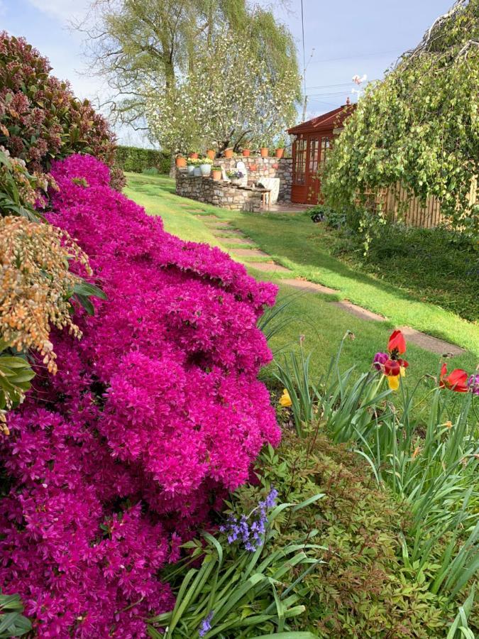Llanwenarth Cottage A Beautiful Place To Just Be. Abergavenny Extérieur photo