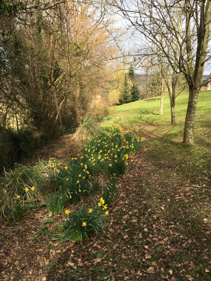 Llanwenarth Cottage A Beautiful Place To Just Be. Abergavenny Extérieur photo