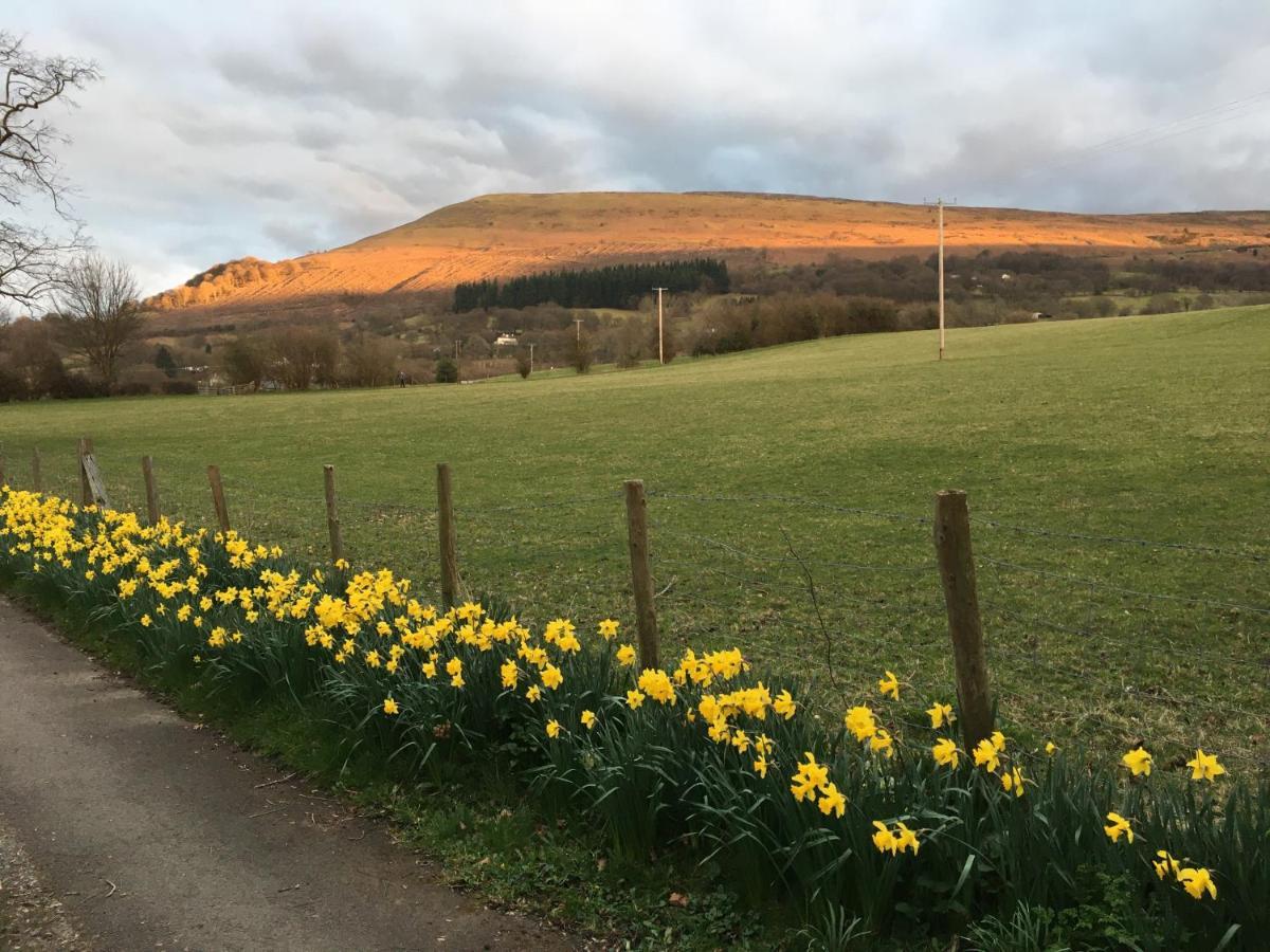 Llanwenarth Cottage A Beautiful Place To Just Be. Abergavenny Extérieur photo