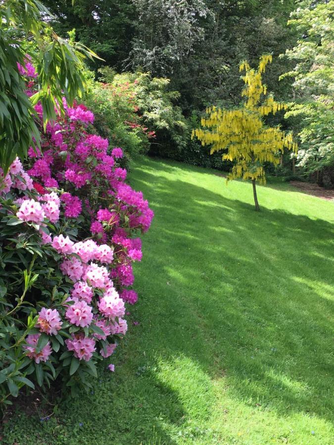 Llanwenarth Cottage A Beautiful Place To Just Be. Abergavenny Extérieur photo